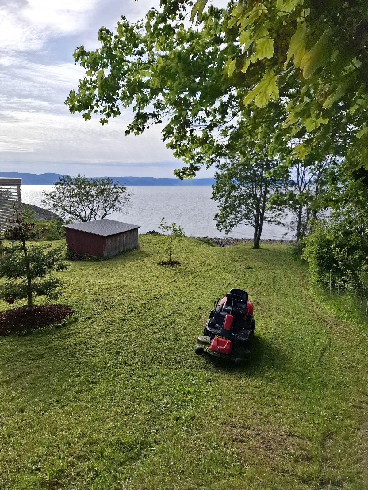 Gressklipping med fjordutsikt